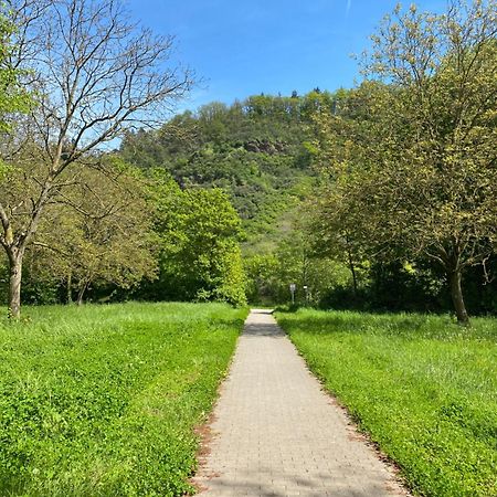 Ferienwohnung An Der Saar 콘즈 외부 사진